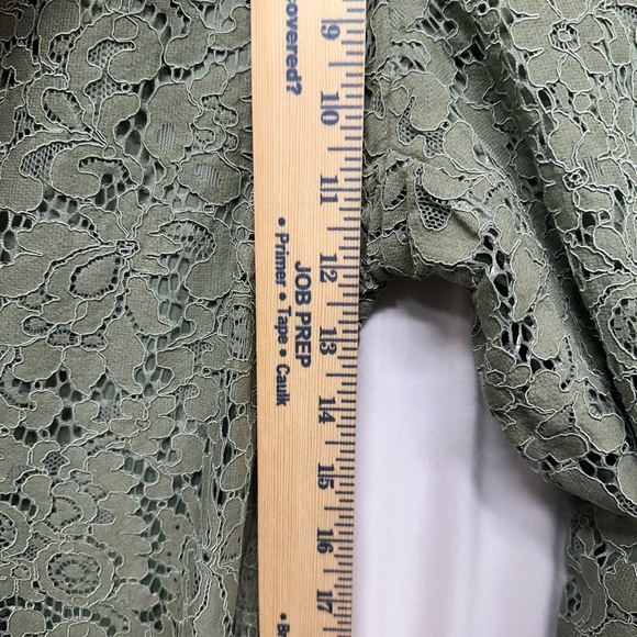 Isaac Mizrahi Live Sage Green Lace Pull-On Pants Size Small - Picture 8 of 9